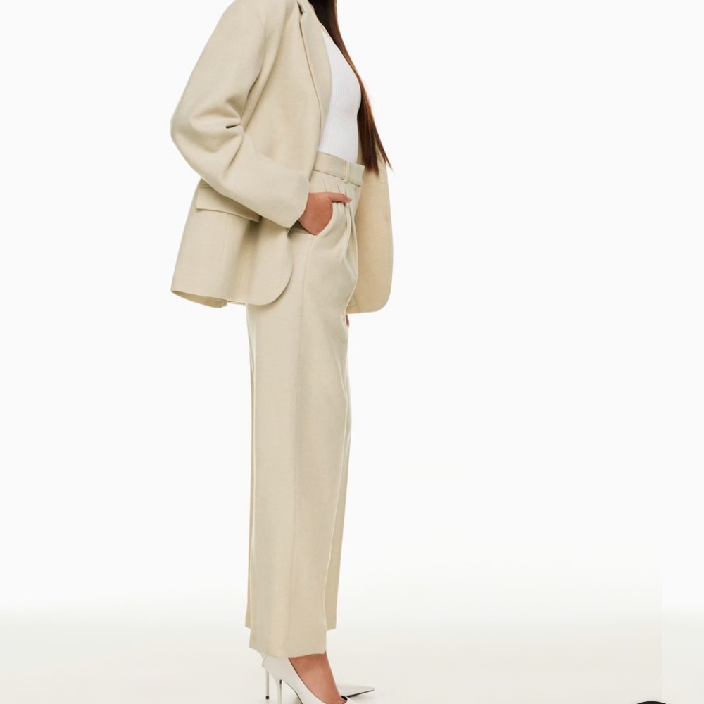 Aritzia Babaton Pants